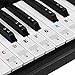 BUZIFU Piano Keyboard Stickers for 37/49/54/61/88 Keys, Transparent Piano Key Stickers Removable Keyboard Note Stickers Colorful Electronic Piano Keyboard Music Notes for Kids Beginners