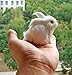 nanguawu Little Rabbit Learning Resources Miniature Plush Stuffed Animal Toy