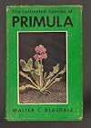 The cultivated species of primula