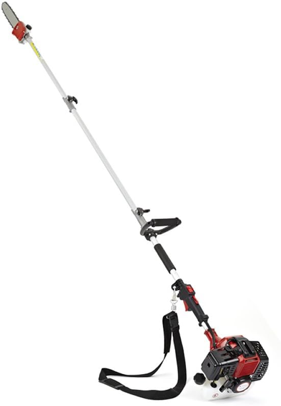 Motosega con asta telescopica Motosega con asta telescopica