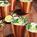 Member's Mark 14 oz. Double-Wall Shorty Mule Mug, Set of 6, Copper