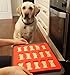 3 x Silicone Pet Treat Molds. Dog Paw, Bone and BONUS Heart mold. FREE healthy treats RECIPE CARD included in set.
