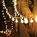 100 LED Indoor String Lights 37.7 Feet Warm White Globe for Patio Party Christmas Wedding Bedroom by Innoo Tech