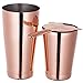 Copper Boston Shaker: 3-piece Set: 18oz & 28oz Weighted Professional Stainless Steel Cocktail Shaker & Cocktail Strainer by Homekeros