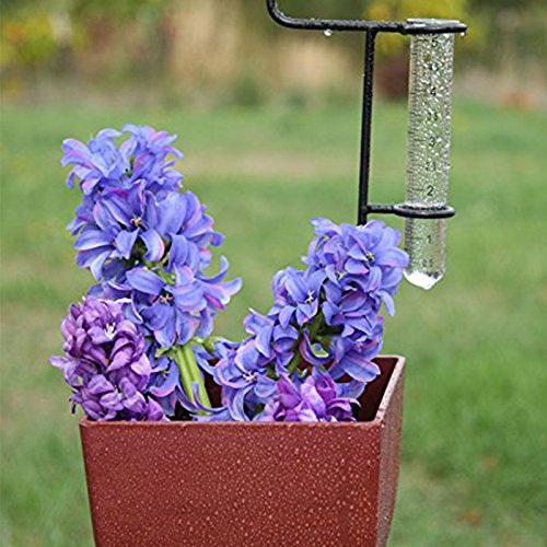 C-Pioneer 5" Capacity Rain Gauge Glass Replacement Tube for Yard Garden Outdoor Home