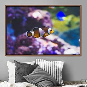 signwin Framed Canvas Wall Art Clownfish Colorful Fish...