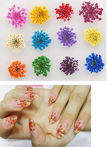 XICHEN 36 Starry Plus 36 Five Flower Flower Three-Dimensional Applique 3D Nail Stickers Nail Supplies Dried Flowers 2 12 Color (Starry and Five Flower) - Thumbnail 7
