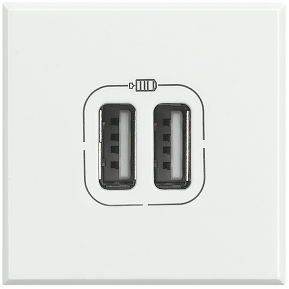 BTicino Axolute USB Charger, 1500 mA, 5 V, 2 Seats, White