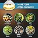 AMZCOOL UVB and UVA Reptile Heat Lamp Bulb Truly Sun-Like Bright Heat for Reptiles, Amphibian and Birds (100 W)