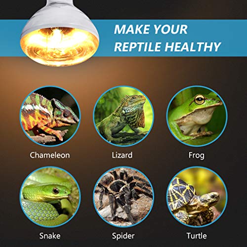 AMZCOOL UVB and UVA Reptile Heat Lamp Bulb Truly Sun-Like Bright Heat for Reptiles, Amphibian and Birds (100 W)