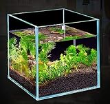 BEGONDIS 35 Litre Rimless Low Iron Glass Aquarium Tank 45x28x30cm view 5