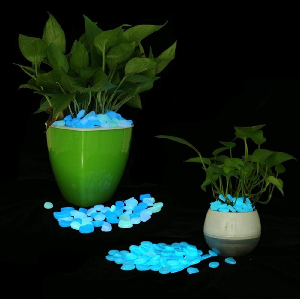 Glow in The Dark Pebbles, Glow Decorative Stones Rocks, Luminous Pebbles for Outdoor Decor, Garden Lawn Yard, Aquarium, Walkway, Fish Tank, Pathway, Driveway-200Blue&Green : Garden & Outdoor