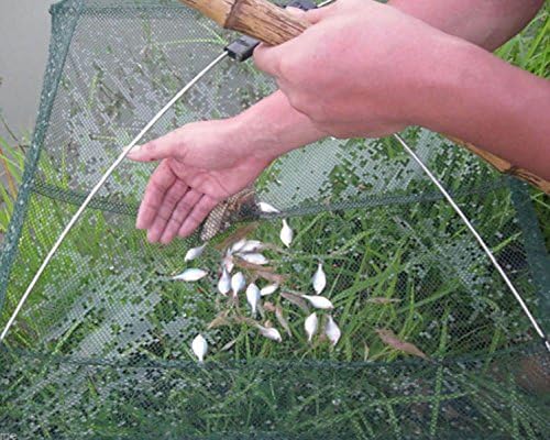 Folded Fishing Net Fish Shrimp Minnow Crab Baits Cast Mesh Trap Dip size: 8080cm