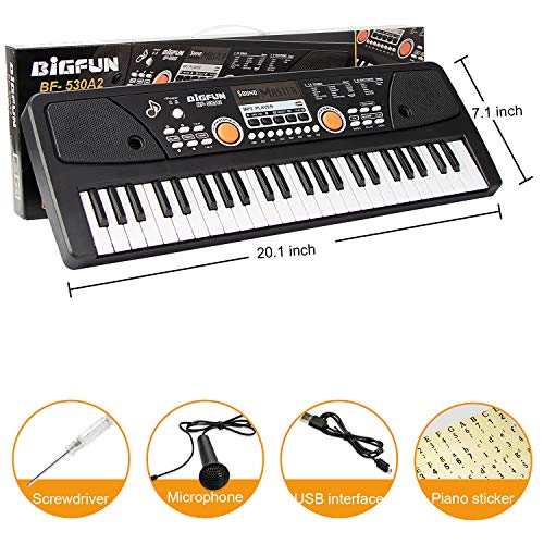 SAOCOOL Piano for Kids, 49 Keys Multi-Function Charging Electronic Kids Piano Keyboard Educational Toy Suitable for Children Over 3 Years Old (Pink) (Dark Black)