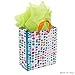 Hallmark Small Birthday Gift Bag with Tissue Paper (Glitter Dots and Flower)