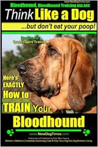 trained tracking bloodhounds for sale