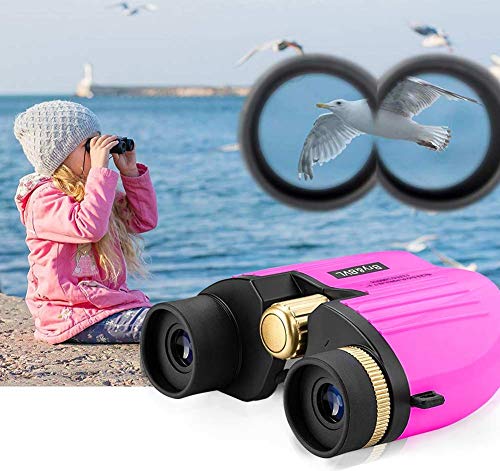 2 Bry+BVL+Birthday+Present+Binoculars