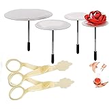 Cake Flower Nail Lifters Set - Stainless-Steel Baking Tools,6 Pcs,Icing Flowers Decoration