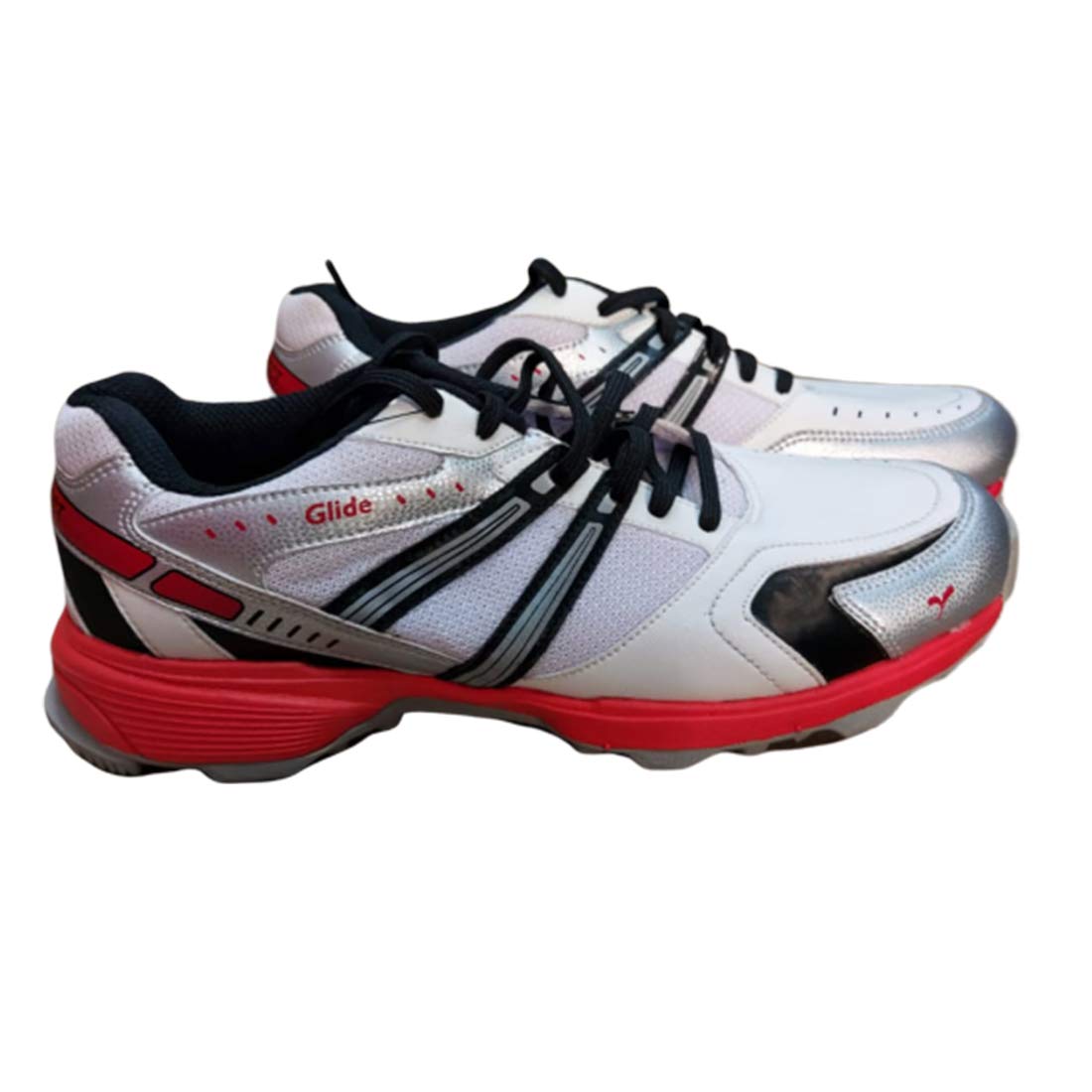 SEGA Men's Cricket Shoe - Buy Online 