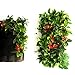 NKTM Wall Garden Indoor, Strawberry Pot Garden Fence Planting Ideas Grow Boxes for Vegetables Outdoor Plant Boxes Vertical Wall Garden Planter Multi Pocket Wall Mount Living Growing Bag 18 Pocket