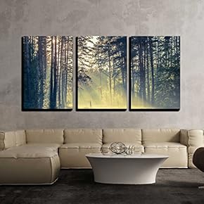 3 Piece Canvas Wall Art - Evening Forest with Sun and Volume Light - Modern Home Art Stretched and Framed Ready to Hang - 16"x24"x3 Panels