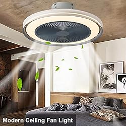 EIHIWD 20in Ceiling Fan with Lights Remote Control