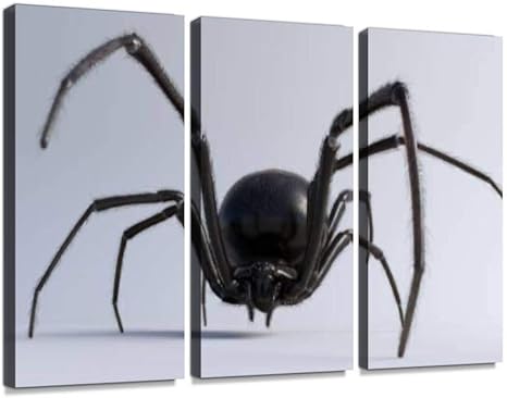 Amazon Co Jp クモ クロゴケグモ 恐怖 薄気味悪い 白背景 動物の毛ポスター パネル 現代壁の絵 壁掛け 部屋飾り 背景絵画 壁アート 完成品 3枚セット すぐ飾る ホーム キッチン