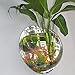 Kathson Home Decoration Pot Wall Hanging Mount Bubble Aquarium Bowl Fish Tank Aquarium
