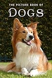 The Picture Book of Dogs: A Gift Book for Alzheimer's Patients and Seniors with Dementia (Picture Bo by Sunny Street Books