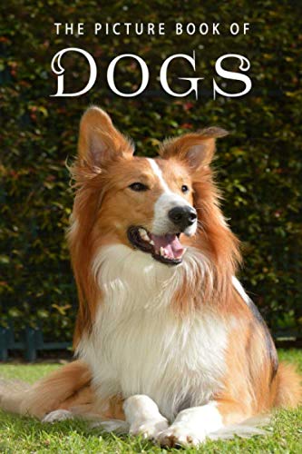 The Picture Book of Dogs: A Gift Book for Alzheimer's Patients and Seniors with Dementia (Picture Bo by Sunny Street Books