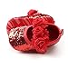 Antheron Baby Girls Mary Jane Flats Soft Sole Infant Moccasins Floral Sparkly Toddler Princess Dress Shoes(Red,6-12 Month)