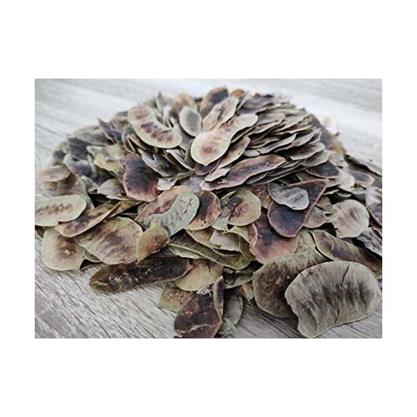 Getrocknete Senna Schoten Kräutertee 85g - 1,95 KG Prämie Qualität Senna Alexandrina (1950 gramm) – Bild 5