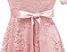 DRESSTELLS Short Bridesmaid Scoop Floral Lace Dress Cocktail Formal Party Dress Blush 3XL