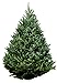 Hallmark Real Christmas Tree, Fraser Fir, 6 Foot To 7 Foot, No Stand