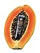 P'ure Papayacare Papaya Skin Food - Multi-use Formula with Paw Paw & Shea Butter - Repair, Nourish and Soothe,100% Natural and Vegan, No Petroleum - Good for Eczema, Psoriasis, Rosacea (0.88 oz)