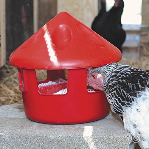 Premier Poultry Grit & Oyster Shell Feeder 6 Lb. Amazon.co.uk
