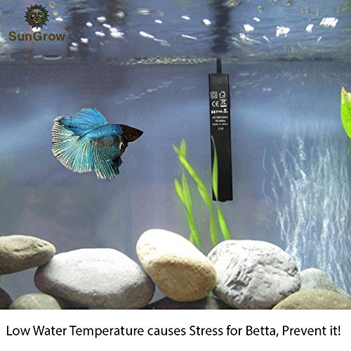 Betta Heater for Small ( 1 . 5 gal .) Tanks Fully Submersible