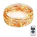 LOENDE 33ft 100 Led String Lights Dimmable, Cooper Wire Starry String Lights with Remote Control for Bedroom, Restaurant, Bars, Frames, Holiday, Party, Wedding Decorations (Warm White)