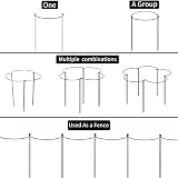 VLYHGO 6Pcs 44x20cm Half Round Plant Supports Garden Stakes Steel Core view 6