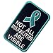 Not All Disabilities are Visible Vests/Harnesses Service Dog Emblem Embroidered Fastener Hook & Loop Patch