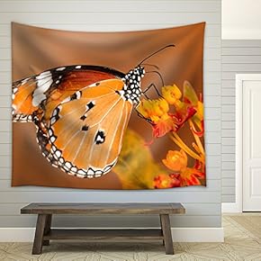 a Butterfly Stay on The Flower - Fabric Wall Tapestry Home Decor - 51x60 inches