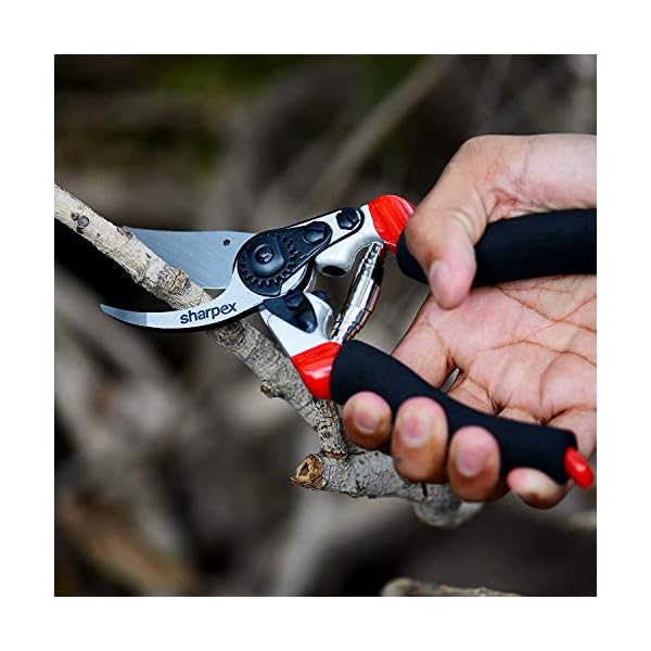 HEMIZA Gardening Tools Garden Shears Sharp Cutter Pruners Scissor, with Safety Lock Pruning Seeds with Grip-Handle… - Image 8
