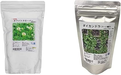 Amazon Co Jp ホワイトクローバーお徳用種子 1l詰 ダイカンドラ種子 コート種子 100ml詰 グランドカバー用 セット買い Diy 工具 ガーデン