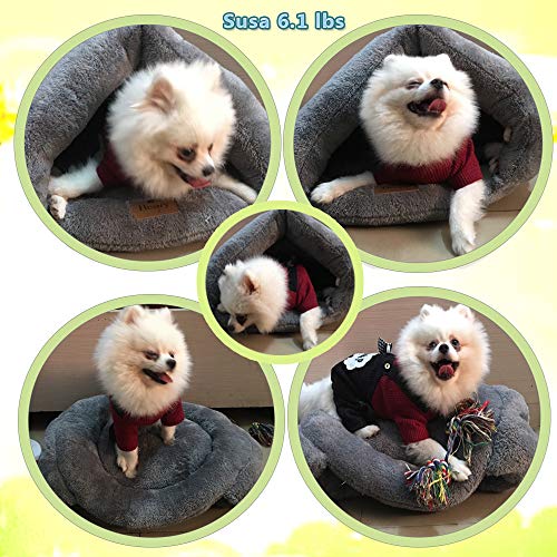 Hesiry Cat Cave Bed Small Dog Tent House for Indoor and Outdoor with Cozy Cushion, Machine Washable Small Animal Beds with Triangular Entrance