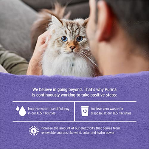 Purina Beyond CageFree Turkey, Sweet Potato and Spinach Recipe In Wet