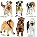 Click N' Play Assorted Beautiful Detailed Canine Dog Animal Set.