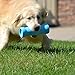 Zigoo Crinkit - 16.9oz Water Bottle Dog Toy with Crunch - Large/Extra Large Blue
