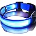 SUKRAGRAHA New Super Bright Nylon LED Dog Night Safety Collar Flashing Light up (Blue, L)