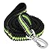 Dog Leash, Itery Reflective Training Bungee Leash Elastic Dog Pet Lead Leash with Control Handle (Green)