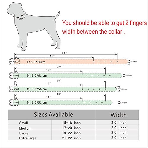 Beirui Sharp Spiked Studded Dog Collar - Stylish Leather Dog Collars - 2 Inch in Width Fit for Medium & Large Dogs - Such as Pitbull Mastiff - Black Rivets & Pink Leopard Leather,19-22"?